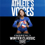 Voices of the Court: Insights from Top Prospects. Part 1