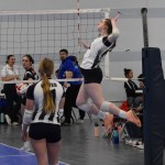 Shelby Sibbet