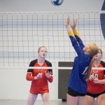 Libby Sussner
