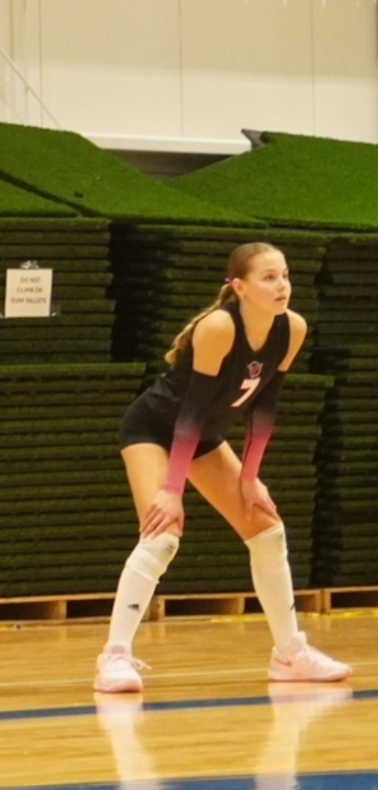Shea Olson