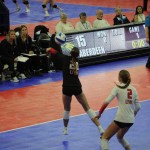 Alexis VanderHam