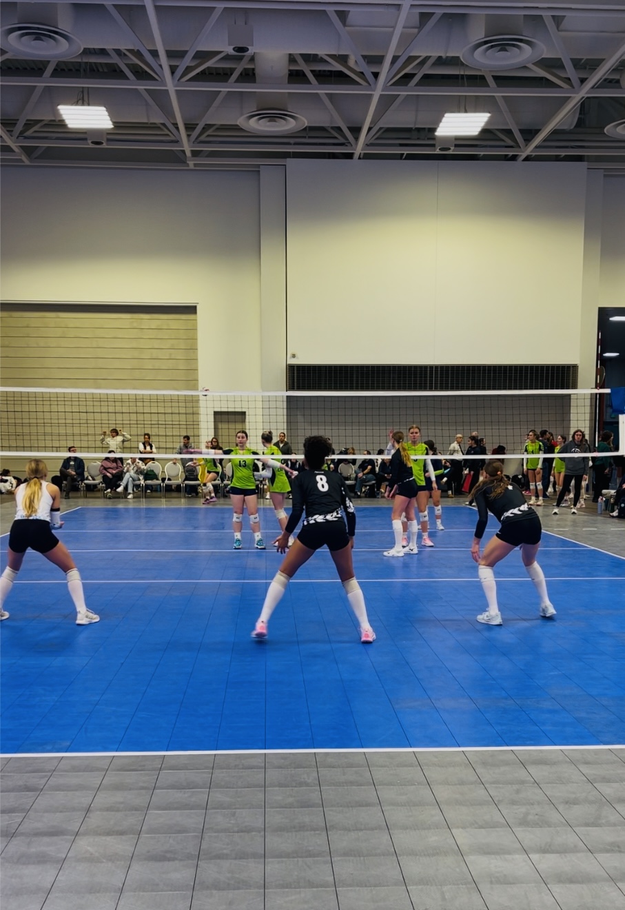 The Finale at NLQ/Jan. Thaw-My Standout Picks