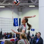 Avery Quam
