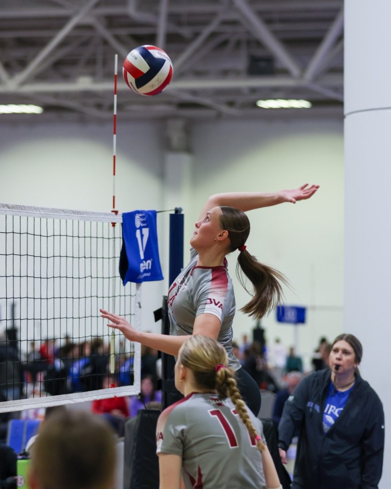 Avery Quam