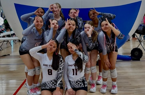 Dig This VBC 14 Black—Prospects Shine at Festival Fiesta Classic