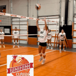 Setters Who Thrived at the Sunshine Classic Showcase