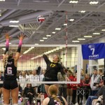 More Iowa 2029s Making Their Mark
