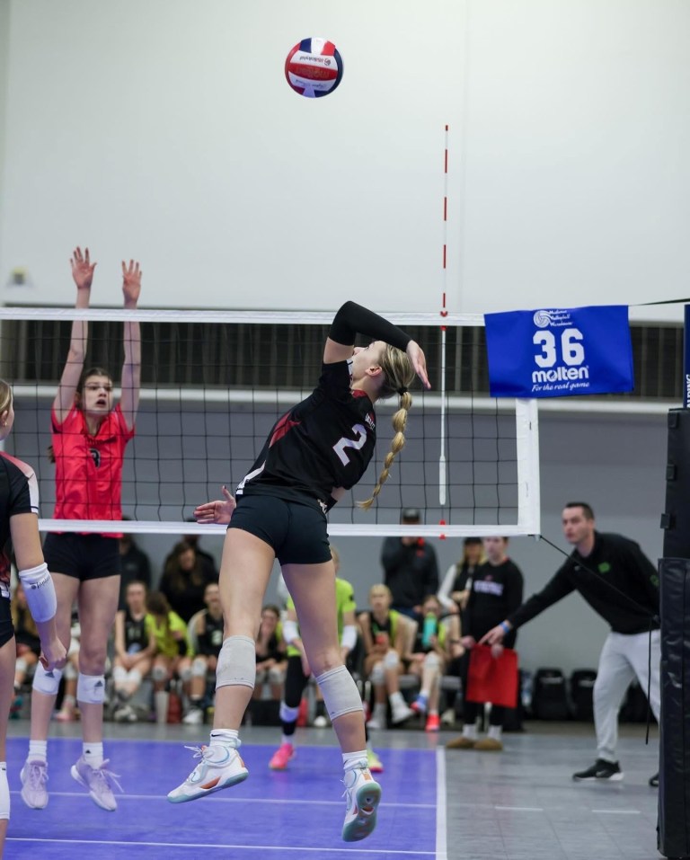 Ali Tollefson