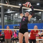 Ainsley Cline