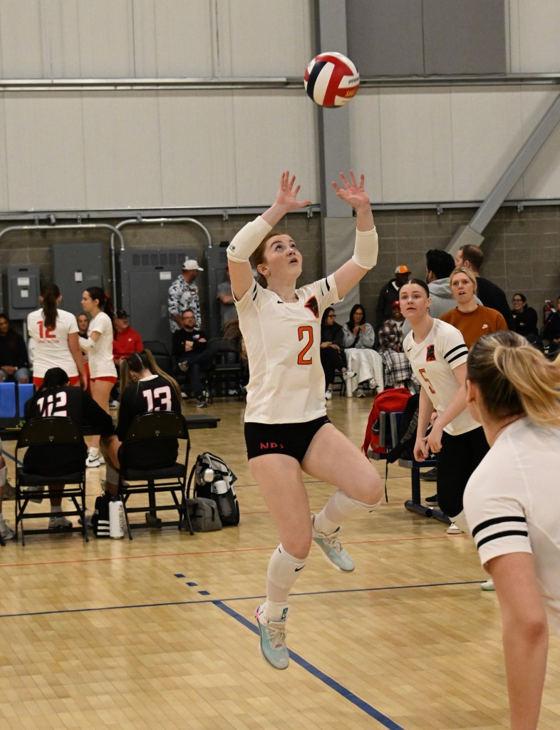 2026: Do Not Sleep on These Setter's