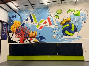 All In Volleyball Academy