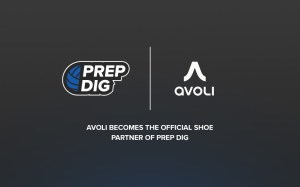 Press Release: Avoli Partnership