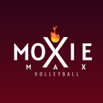 Moxie Max Volleyball