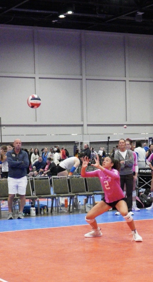 Aaliyah Cancellari 