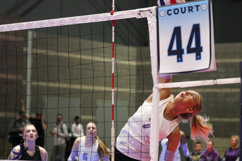 Baylee Isabella Bravender