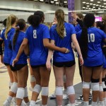 TAV 16 Black Gets a Bid