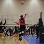 Brogan Bucher