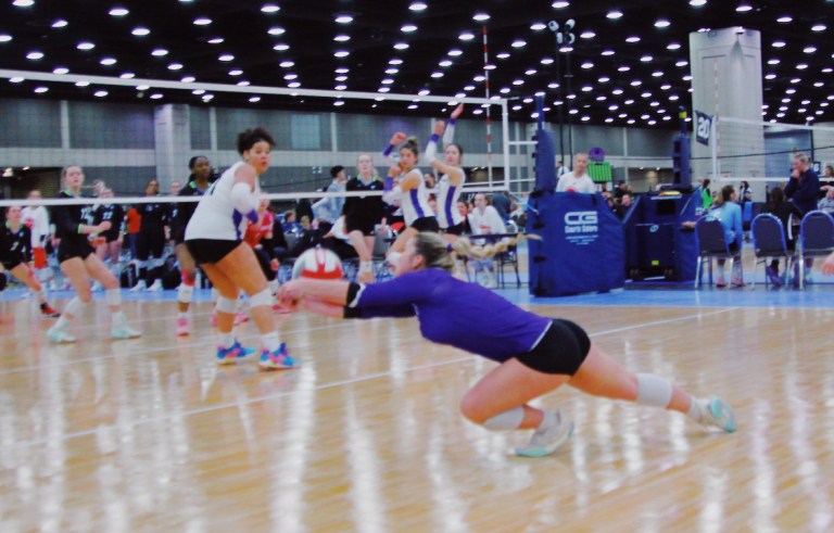 Molly Bayer