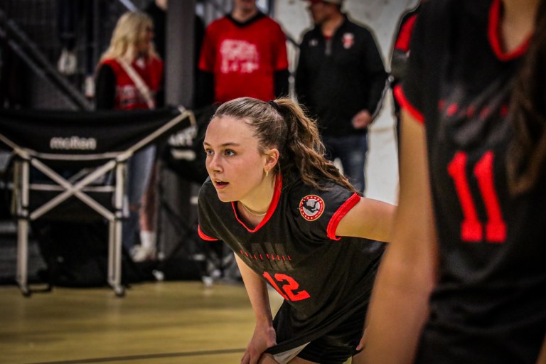 Rachel’s Notes App from Madness in Miltown: 15 Defensive Dynamos