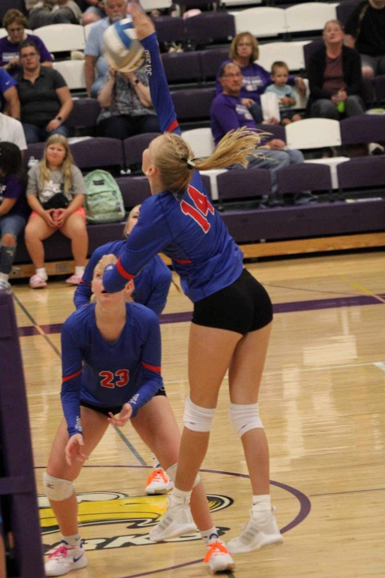 Braylee Stortz