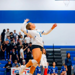 Delaney Hankel