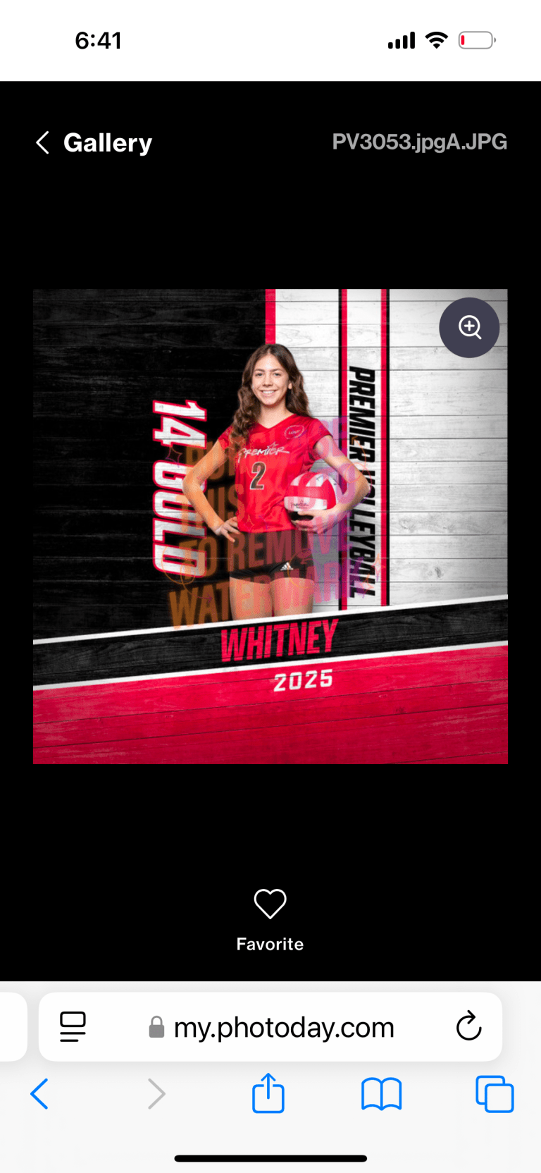 Whitney Mertens