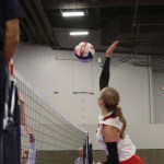 Laynie Holman