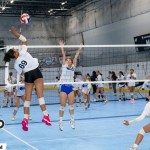 Photo Gallery: Prep Dig DMV Stock Up Showcase