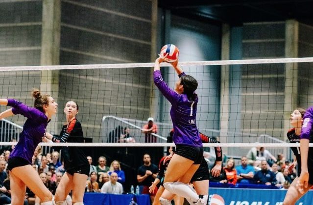 <span class="pn-tooltip pn-player-link">
        <span class="name-pointer">Arizona’ 2026 Top Setters: Leaving Their Legacy (4A-6A)</span>
        <span class="info-box not-prose" style="background: linear-gradient(to bottom, rgba(23,90,170, 0.95) 0%,rgba(23,90,170, 1) 100%)">
            <a href="https://prepdig.com/2025/08/arizona-2026-top-setters-leaving-their-legacy-4a-6a/" class="link-wrap">
                                    <span class="player-img"><img src="https://prepdig.com/wp-content/uploads/sites/5/2025/08/PD-ArizonaTopSettersArticle.jpg?w=150&h=150&crop=1" alt="Arizona’ 2026 Top Setters: Leaving Their Legacy (4A-6A)"></span>
                
                <span class="player-details">
                    <span class="first-name">Arizona’</span>
                    <span class="last-name">2026 Top Setters: Leaving Their Legacy (4A-6A)</span>
                    <span class="measurables">
                                            </span>
                                    </span>
                <span class="player-rank">
                                                        </span>
                                    <span class="state-abbr"></span>
                            </a>

            
        </span>
    </span>
