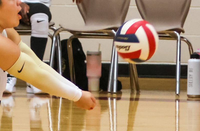 Lockdown Legends: Georgia’s Top 12 DS/L Liberos to Watch Pt.1