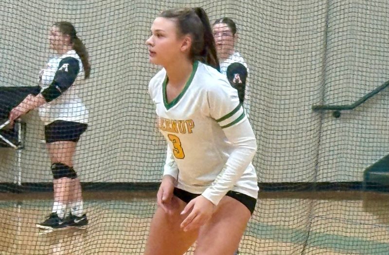 Notable DS/setters at Rowan County scrimmages