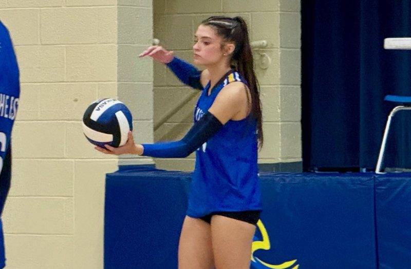 Allie Thompson