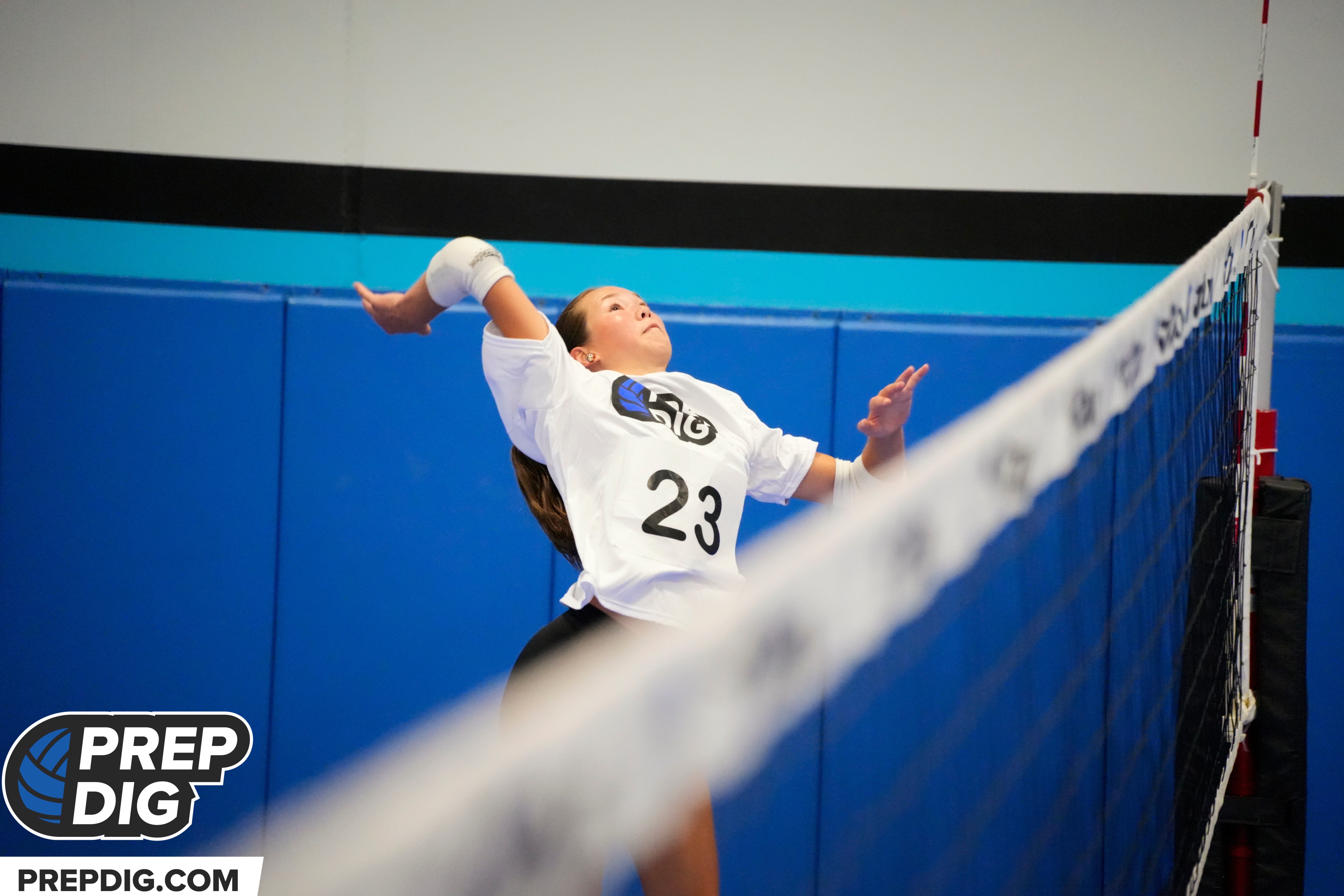 Dominant Pins from the Freshman Showcase