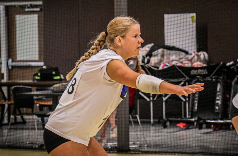 No Quit, All Grit: Players from the Stock Up Showcase