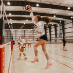 Rising Stars: The Crusader Cup’s Must-Know Players