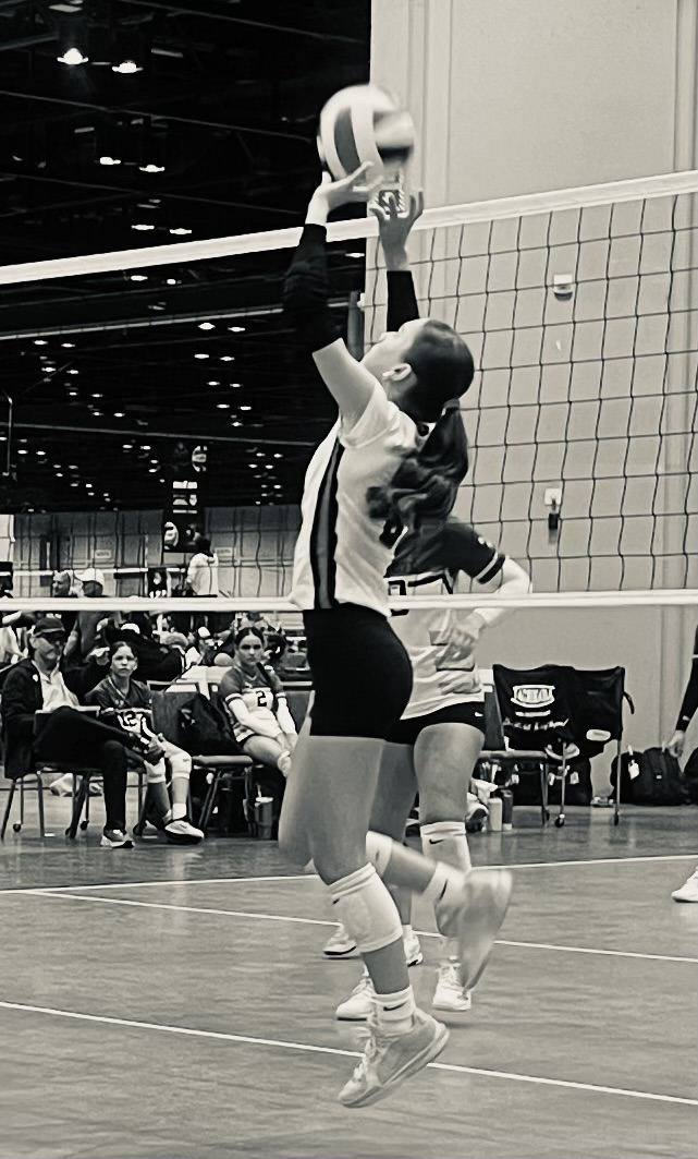 Hadley Borgen