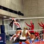 Brynn Doehla