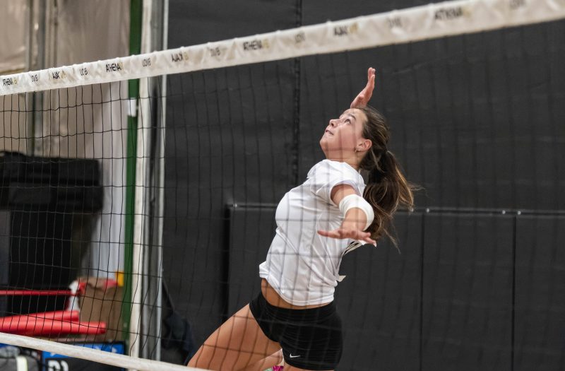 Stock Up Showcase 2025: Memorable Middles