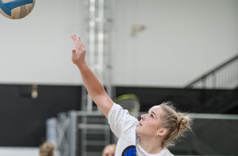 Stock Up Showcase 2025: Powerhouse Pins Class of 2028