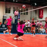 Setter Highlights at the Michigan Stock Up Showcase