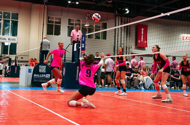 Setter Highlights at the Michigan Stock Up Showcase