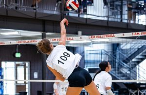 Photo Gallery: Prep Dig Wisconsin Stock Up Showcase