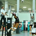 North Florida’s 50+ Kill Club: Top 5 Hitters to Watch