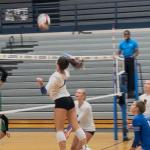 Kentucky Talent Worth A Closer Look
