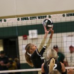 Avery Helmuth
