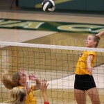 Quinn Roush