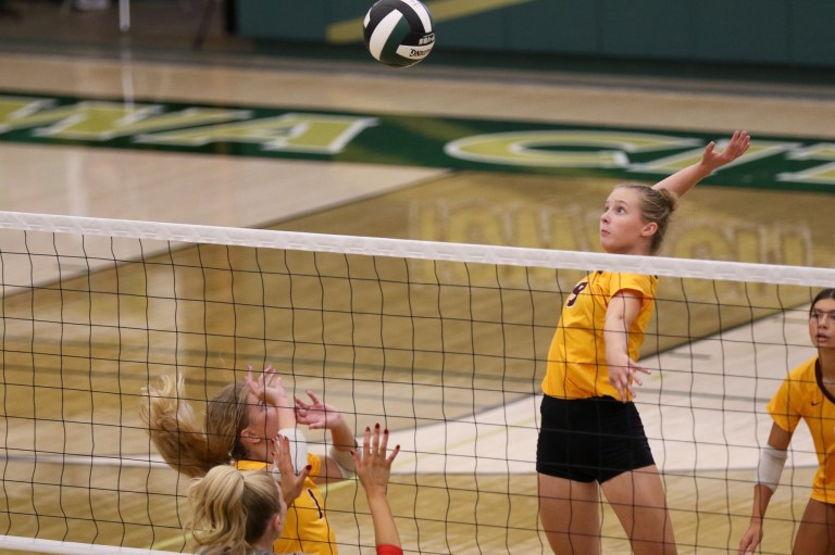 Quinn Roush