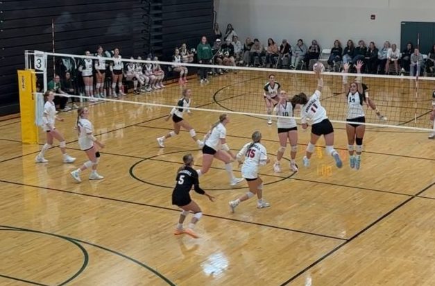 Annandale Cardinals Accumulate Another Win
