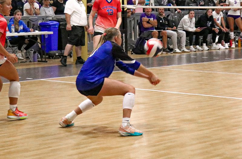 What 2028s are dominating the stat boards?