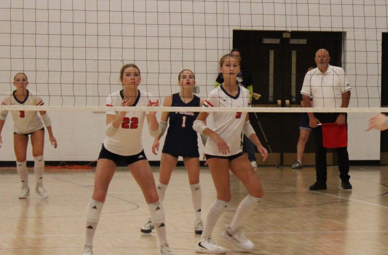 Prep Dig Showcase Alums Thriving in 2025 Fall Season (Pt. 2)